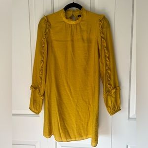 Ann Taylor Long Sleeve Dress